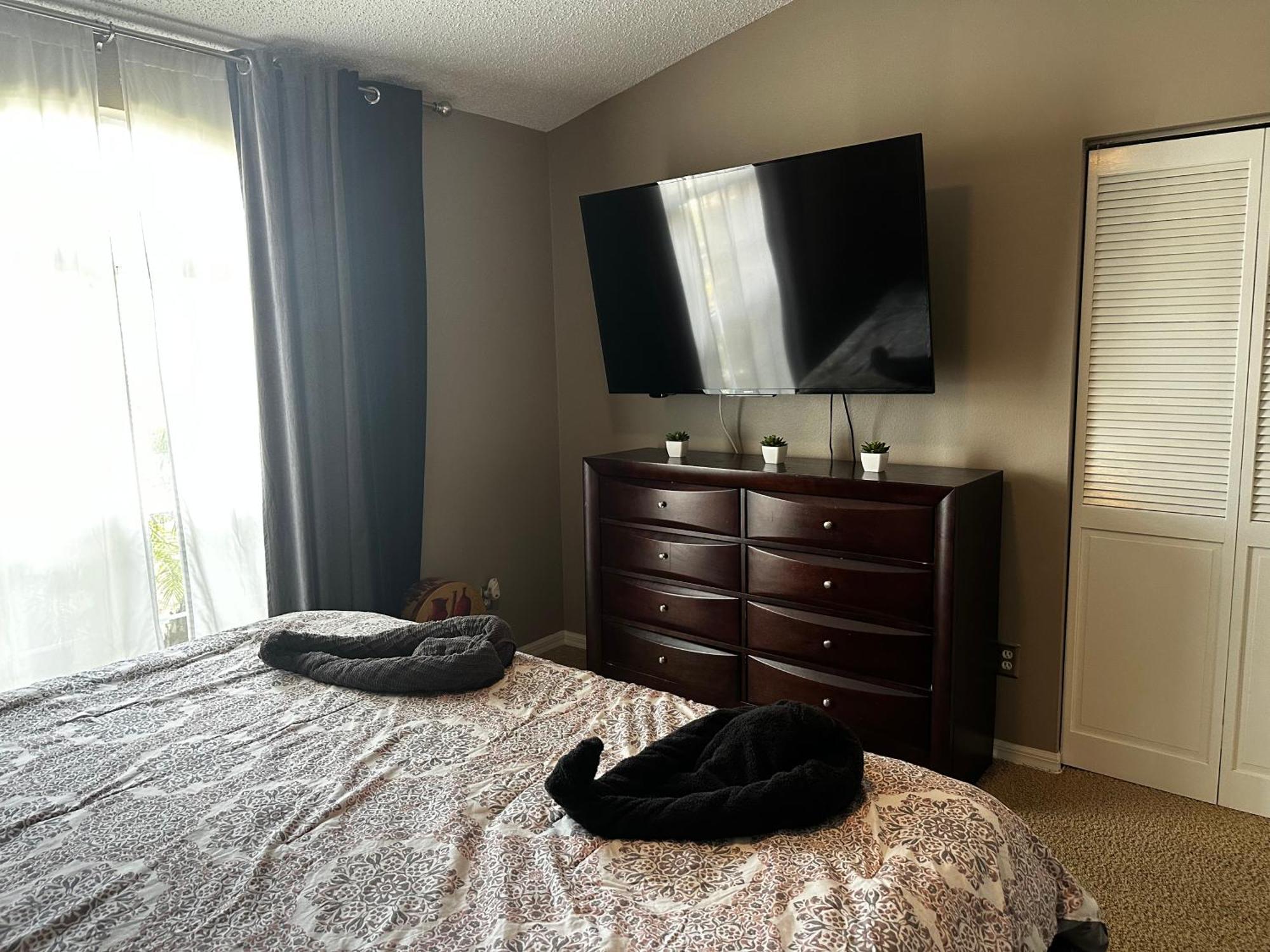 Cozy 3 Bedroom Home Close To Everything In Tampa! Екстер'єр фото